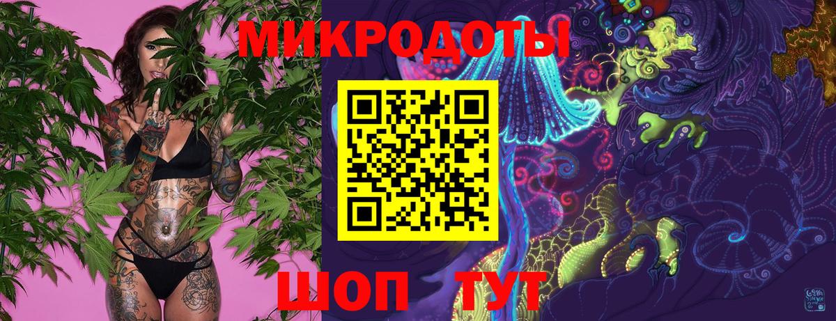 Галлюциногенные грибы Psilocybe Иркутск