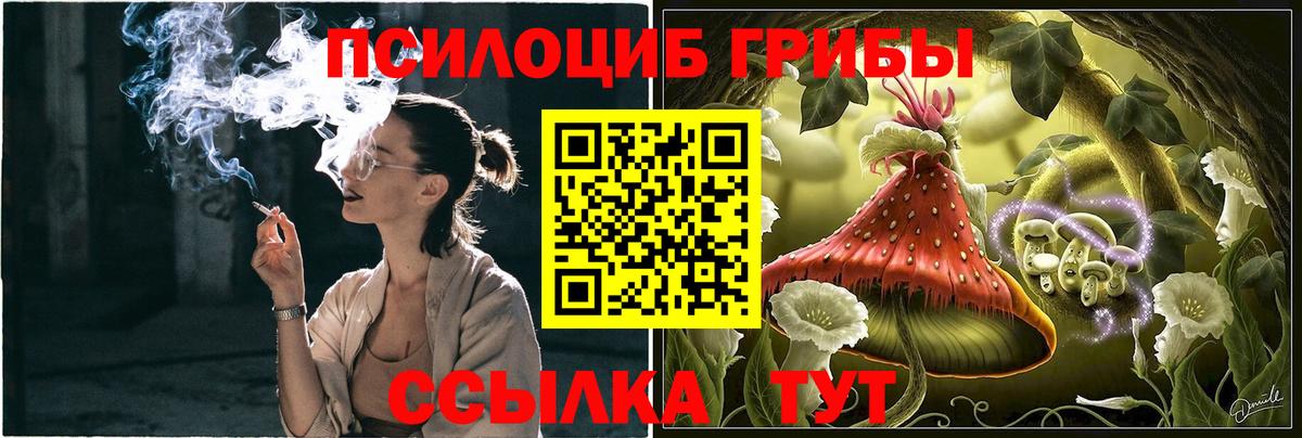 Галлюциногенные грибы Psilocybe  Вход с VPN  Иркутск 